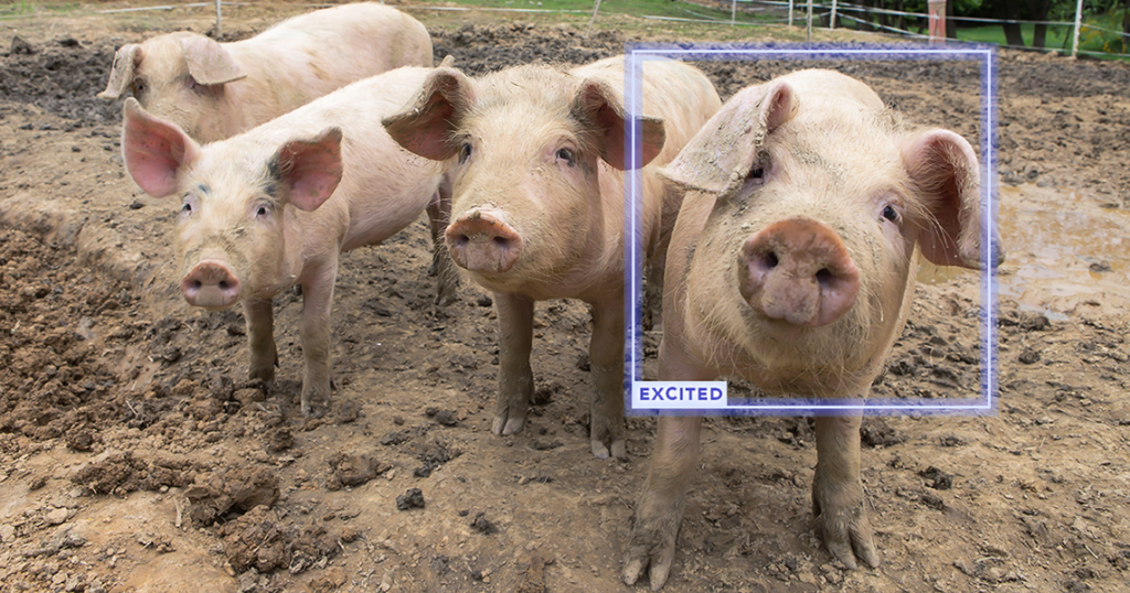 Entenda como a Inteligência Artificial está revolucionando o Mercado de Trabalho!