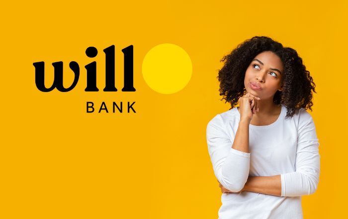 As 5 Melhores Fintechs com IA para Empreendedores Digitais em 2025 5 Will Bank