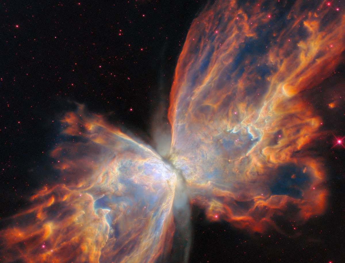 Telescópio Webb revela a estrela oculta que dá brilho à Nebulosa Borboleta 2 Telescópio Webb revela a estrela oculta que dá brilho à Nebulosa Borboleta - Imagem do artigo original